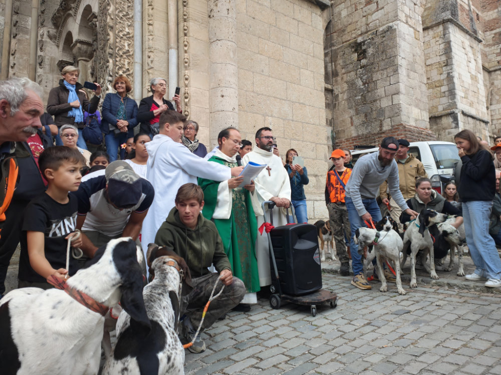 Moissac célèbre la Saint-Hubert : chiens, cors et ferveur à l’abbatiale Saint-Pierre 25 IMG20251019172755