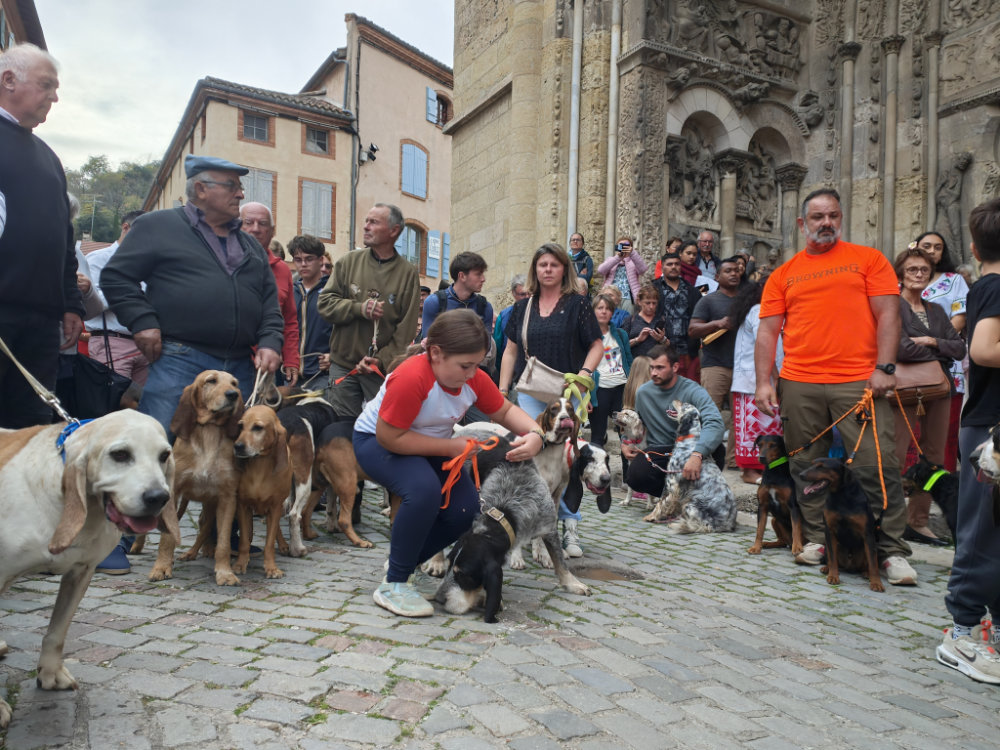 Moissac célèbre la Saint-Hubert : chiens, cors et ferveur à l’abbatiale Saint-Pierre 28 IMG20251019173044