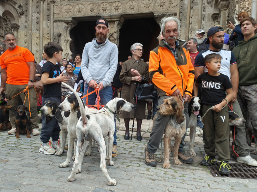 Moissac célèbre la Saint-Hubert : chiens, cors et ferveur à l’abbatiale Saint-Pierre 29 IMG20251019173048