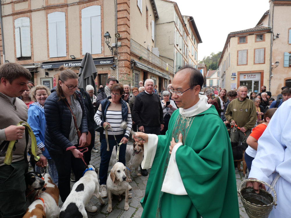 Moissac célèbre la Saint-Hubert : chiens, cors et ferveur à l’abbatiale Saint-Pierre 39 P1172043