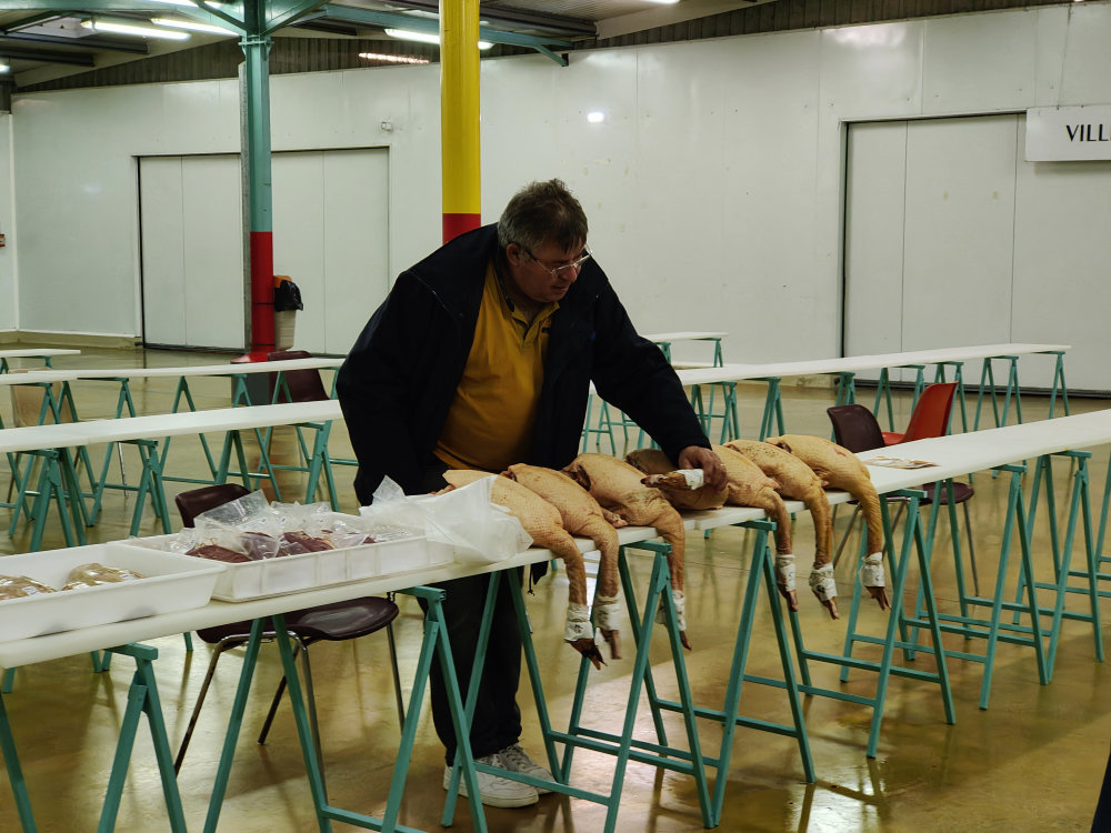 Castelsarrasin. Le marché au gras fait de la résistance sous la Halle Occitane 6 IMG20251106090320