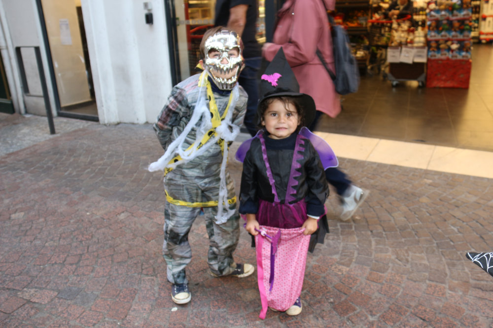 Montauban. Ils ont fait vivre aux commerçants une soirée d’horreur 1 IMG 9530