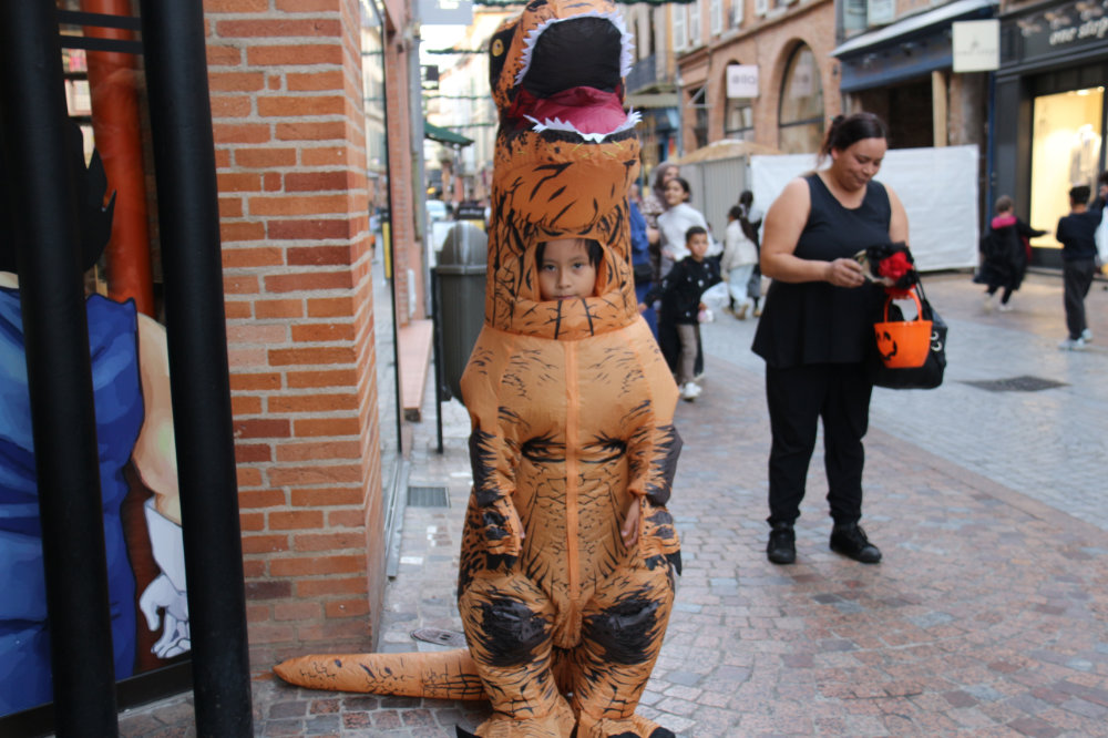 Montauban. Ils ont fait vivre aux commerçants une soirée d’horreur 4 IMG 9533