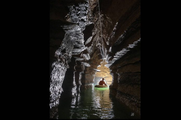 Mangrove Soirée des Curieux 221125