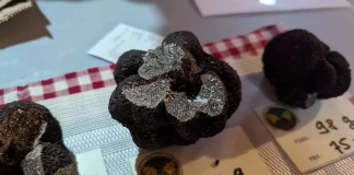 Caussade. Le marché à la truffe revient sous la halle dès le 8 décembre Marche-a-la-truffe-Caussade-ouverture