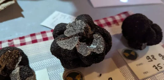 Marche-a-la-truffe-Caussade-ouverture