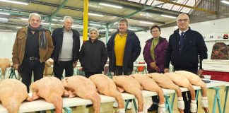 Castelsarrasin. Le marché au gras fait de la résistance sous la Halle Occitane Marché au Gras Castelsarrasin