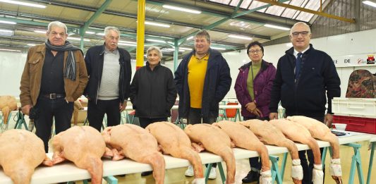 Marché au Gras Castelsarrasin