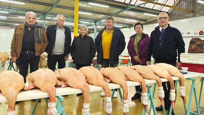Marché au Gras Castelsarrasin Marché au Gras Castelsarrasin