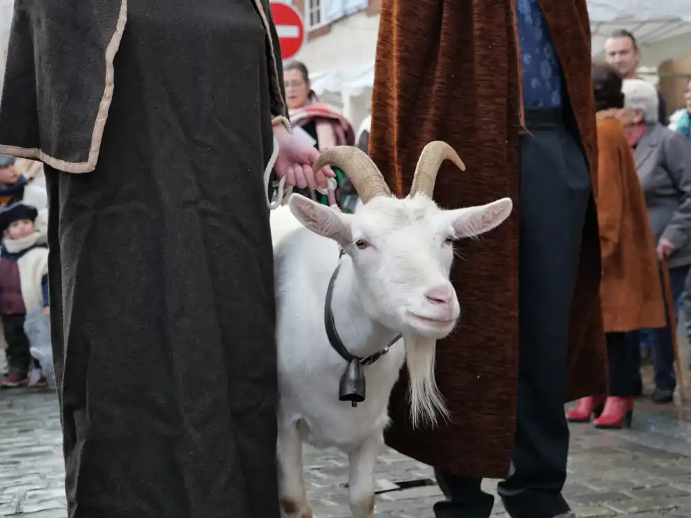 À Moissac, la crèche vivante a fait battre le cœur de la ville 21 P1183248
