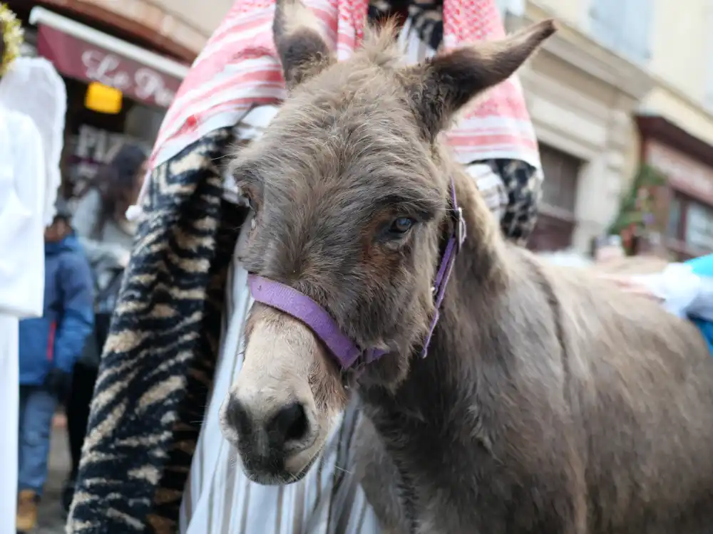 À Moissac, la crèche vivante a fait battre le cœur de la ville 6 P1183269