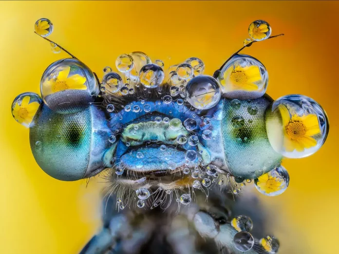 castelsarrasin philippe choteau exposition