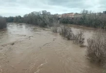 Crues : situation sous surveillance sur le Tarn aval crues vigilance Tarn et Garonne