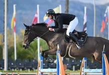 Castelmayran. Equitation : Lucas Boillot confirme sa montée en puissance sur la scène internationale lucas boillot equitation Castelmayran