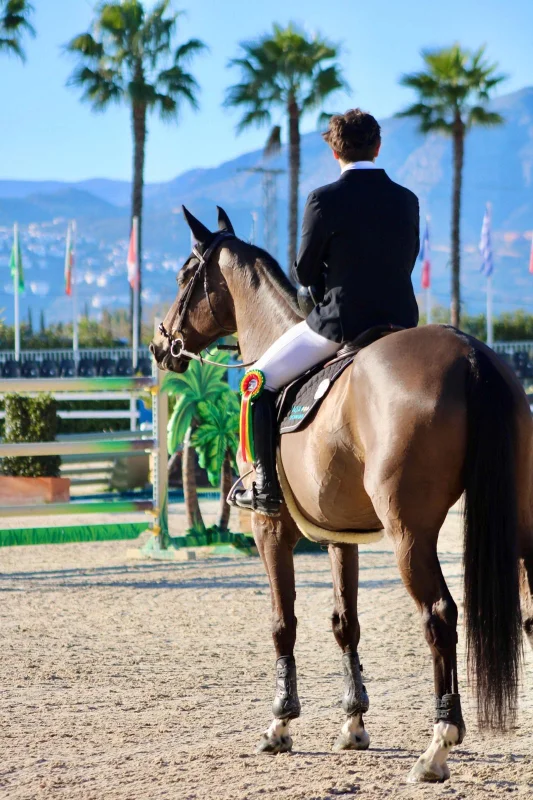 lucas boillot et sa jument Elyra du Morio