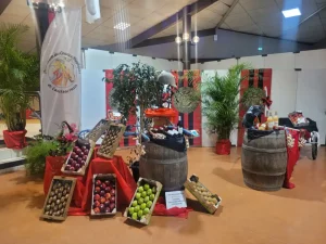 26eaeb53 5c92 4d70 9e84 d6e2f53c8ae9