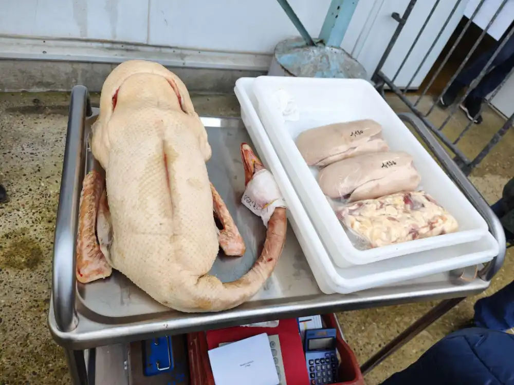 Compress 20260206 081612 2772