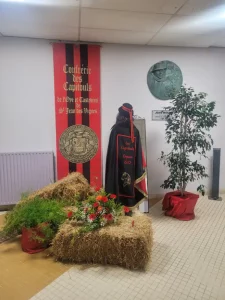 c0e86582 3cdd 449f 80ff 4361ee17690a