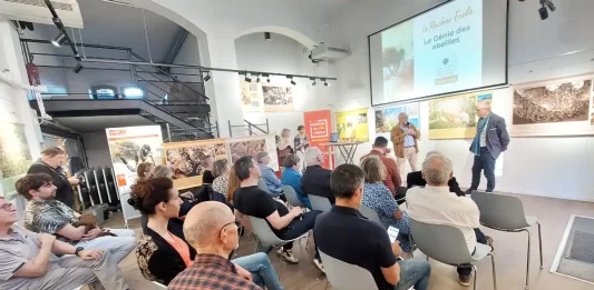 Montauban. Un après-midi pour découvrir l’occitan autrement Initiation à l’occitan organisée à la Maison de Ma Région à Montauban le 18 février dans le cadre de la quinzaine Parlem