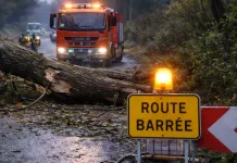 Tempête Nils : un blessé grave à Castelsarrasin, 29 500 foyers sans électricité en Tarn-et-Garonne Arbre tombé sur une route en Tarn-et-Garonne après le passage de la tempête Nils en février 2026