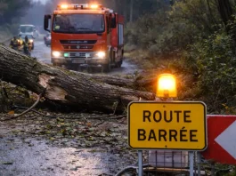Tempête Nils : un blessé grave à Castelsarrasin, 29 500 foyers sans électricité en Tarn-et-Garonne Arbre tombé sur une route en Tarn-et-Garonne après le passage de la tempête Nils en février 2026