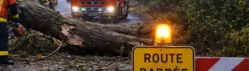 Arbre tombé sur une route en Tarn-et-Garonne après le passage de la tempête Nils en février 2026