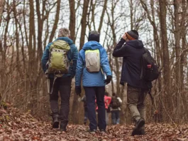 Castelsarrasin. Le CCAS organise une sortie à Auch pour les seniors Sortie seniors CCAS Castelsarrasin à Auch le 29 mai