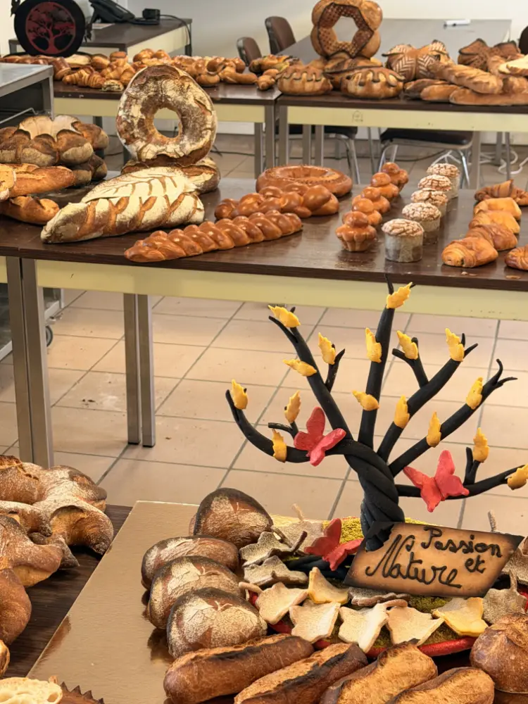 Boulangerie, électricité, maçonnerie : les apprentis du CFA distingués au concours MAF 1 MAF Boulangerie