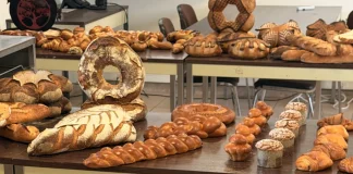 Boulangerie, électricité, maçonnerie : les apprentis du CFA distingués au concours MAF Travaux réalisés par les apprentis lors du concours Un des Meilleurs Apprentis de France au CFA de Tarn-et-Garonne