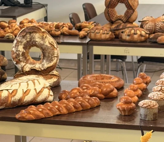 Boulangerie, électricité, maçonnerie : les apprentis du CFA distingués au concours MAF Travaux réalisés par les apprentis lors du concours Un des Meilleurs Apprentis de France au CFA de Tarn-et-Garonne