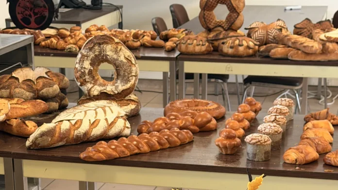 Des apprentis distingués au concours MAF au CFA Travaux réalisés par les apprentis lors du concours Un des Meilleurs Apprentis de France au CFA de Tarn-et-Garonne