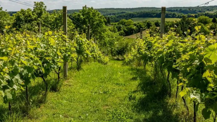 La Fête de la Nature revient à Moissac