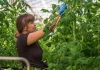 Montauban. Jobs saisonniers, CDI, réalité virtuelle : le forum agricole veut attirer une nouvelle génération Le forum des métiers agricoles revient à Montauban