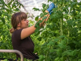 Montauban. Jobs saisonniers, CDI, réalité virtuelle : le forum des métiers agricoles veut attirer une nouvelle génération Le forum des métiers agricoles revient à Montauban