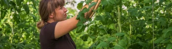 Le forum des métiers agricoles revient à Montauban