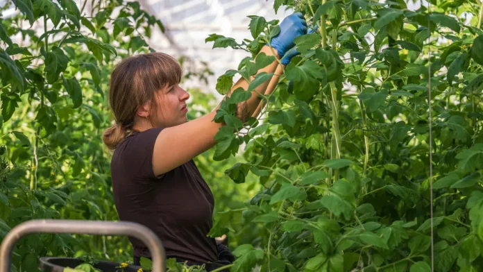 Le forum des métiers agricoles revient à Montauban