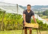 À 39 ans, Julien Custody prend la tête du Chasselas de Moissac AOP Julien Custody, nouveau président du Syndicat du Chasselas de Moissac AOP