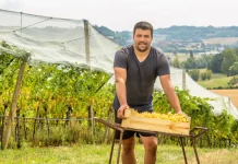 À 39 ans, Julien Custody prend la tête du Chasselas de Moissac AOP Julien Custody, nouveau président du Syndicat du Chasselas de Moissac AOP
