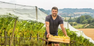 À 39 ans, Julien Custody prend la tête du Chasselas de Moissac AOP Julien Custody, nouveau président du Syndicat du Chasselas de Moissac AOP