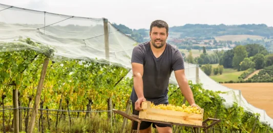 À 39 ans, Julien Custody prend la tête du Chasselas de Moissac AOP Julien Custody, nouveau président du Syndicat du Chasselas de Moissac AOP