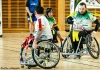 Rugby à XIII fauteuil : la série s’arrête pour les Pandas de Montauban Les Pandas de Montauban lors de la demi-finale du championnat de France de rugby à XIII fauteuil