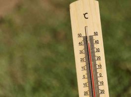Canicule : les écoles fermeront leurs portes l’après-midi à Moissac Les écoles de Moissac fermeront les après-midi des 22 et 23 juin.