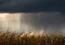 Un ciel orageux avec des éclairs au-dessus d'un paysage du Tarn-et-Garonne avant un épisode placé en vigilance orange.