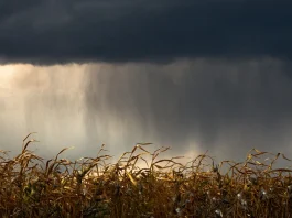 Orages : le Tarn-et-Garonne placé en vigilance orange ce samedi soir Un ciel orageux avec des éclairs au-dessus d'un paysage du Tarn-et-Garonne avant un épisode placé en vigilance orange.