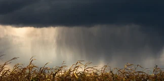 Orages : le Tarn-et-Garonne placé en vigilance orange ce samedi soir Un ciel orageux avec des éclairs au-dessus d'un paysage du Tarn-et-Garonne avant un épisode placé en vigilance orange.