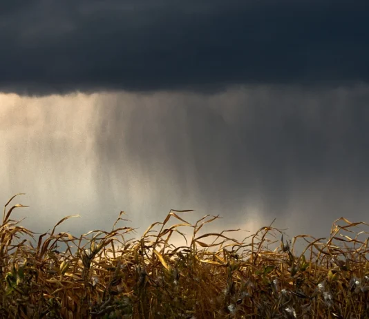 Orages : fortes pluies, grêle et rafales jusqu’à 100 km/h attendues en Tarn-et-Garonne Un ciel orageux avec des éclairs au-dessus d'un paysage du Tarn-et-Garonne avant un épisode placé en vigilance orange.