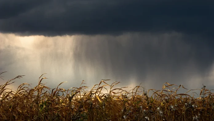 Un ciel orageux avec des éclairs au-dessus d'un paysage du Tarn-et-Garonne avant un épisode placé en vigilance orange.