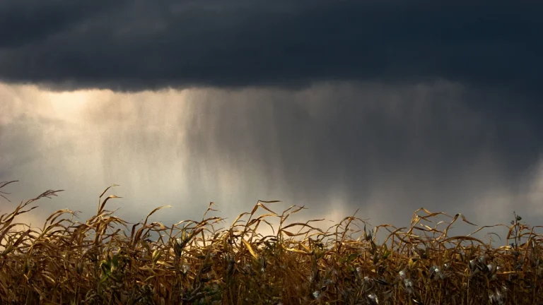 Un ciel orageux avec des éclairs au-dessus d'un paysage du Tarn-et-Garonne avant un épisode placé en vigilance orange.