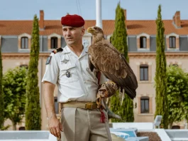 Après Malizia, Roccia devient la nouvelle mascotte du 17ᵉ RGP Roccia, nouvelle mascotte du 17e Régiment du génie parachutiste de Montauban