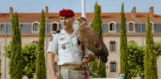 Après Malizia, Roccia devient la nouvelle mascotte du 17ᵉ RGP Roccia, nouvelle mascotte du 17e Régiment du génie parachutiste de Montauban